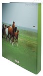 2-rings ringband A4, 'Paarden'
